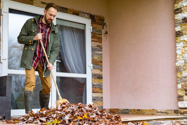 Best Basement Cleanout Services  in Freemansburg, PA
